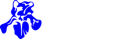 Data Hub Logo